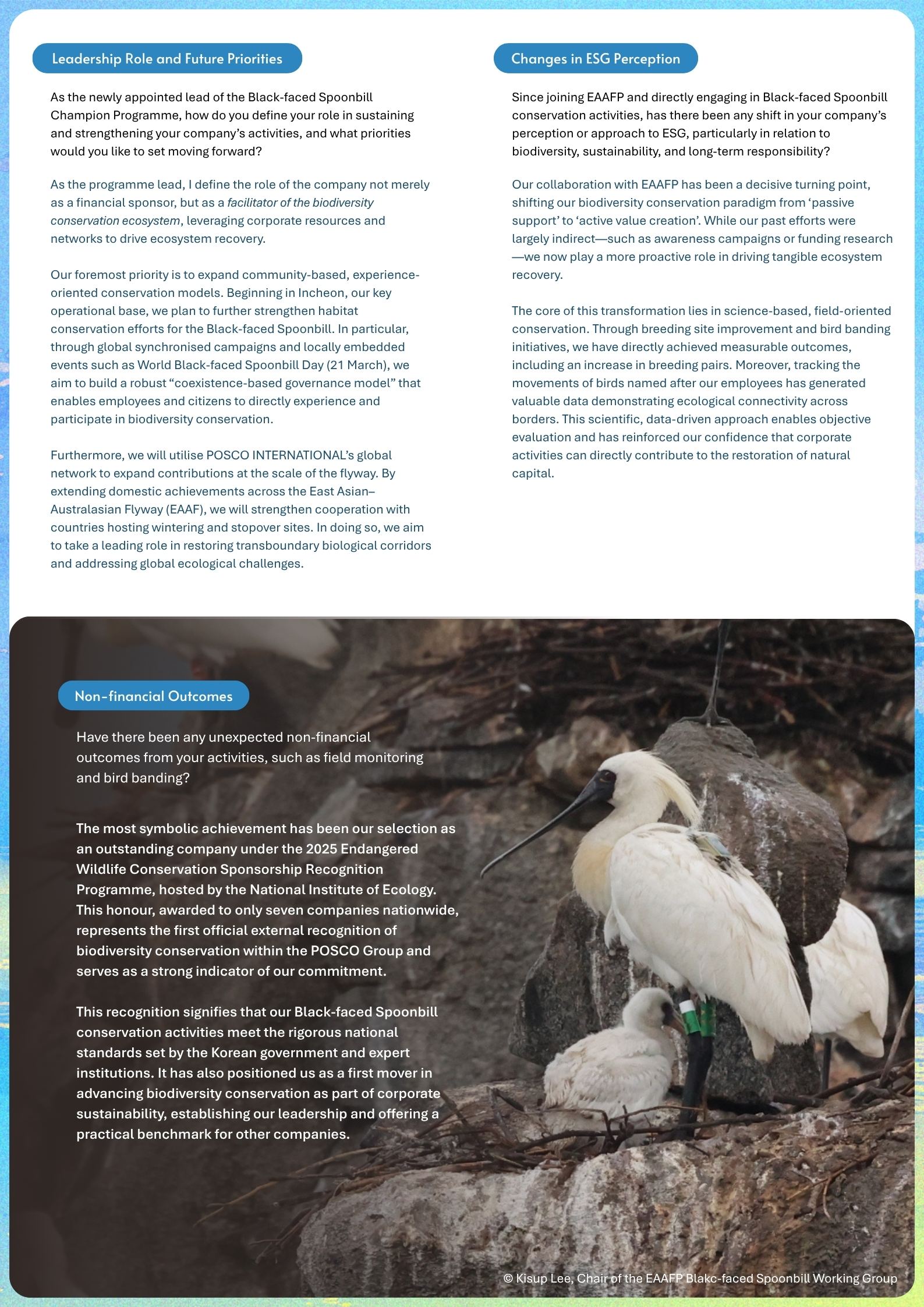 During the first year of the programme, the company supported a range of conservation activities for the Black-faced Spoonbill through the EAAFP Corporate Champion Programme, with a focus on improving breeding sites and strengthening connectivity along the flyway. In this process, the responsible staff member worked closely with professional researchers and directly participated in field monitoring and colour banding activities. As a result, breeding conditions at key sites were improved, and the number of breeding pairs increased significantly. In addition, the collection of movement and re-sighting data across the flyway was enhanced.