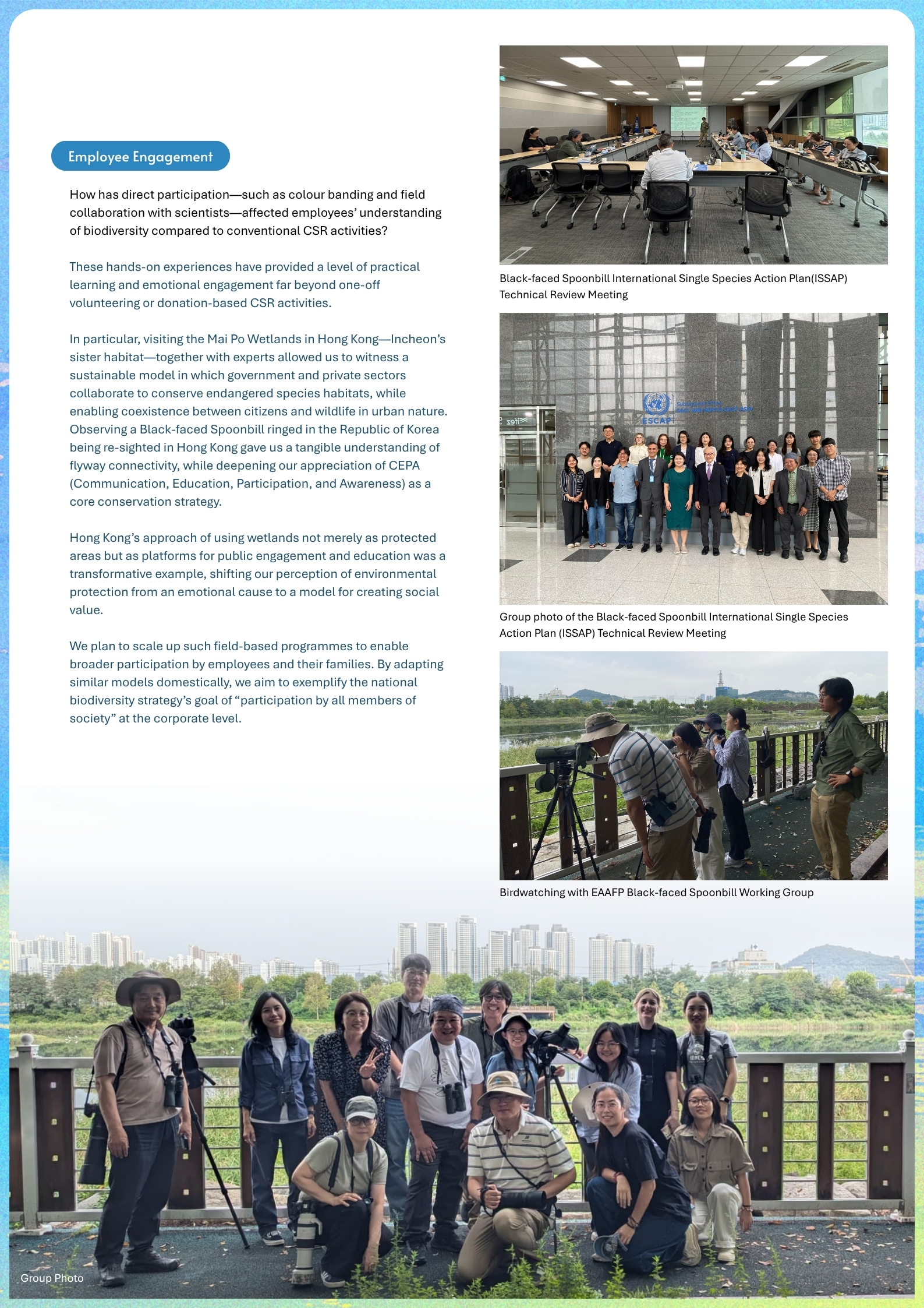 Furthermore, the BFS Champion supported the Technical Review Meeting for the draft revision of the International Single Species Action Plan (ISSAP) for the Black-faced Spoonbill, providing a platform for international experts to review population trends and discuss emerging threats.