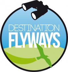 flyways2_black-green_small-238x254