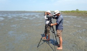 SBS survey at Sonadia Oct2013.jpg-550x0