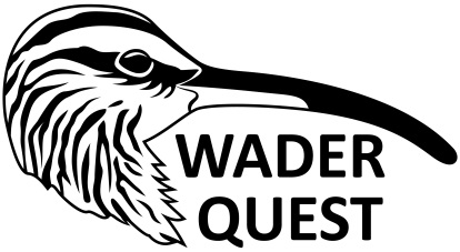wader quest