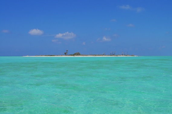 eb239fed13_tubbataha2_island_yvette_lee