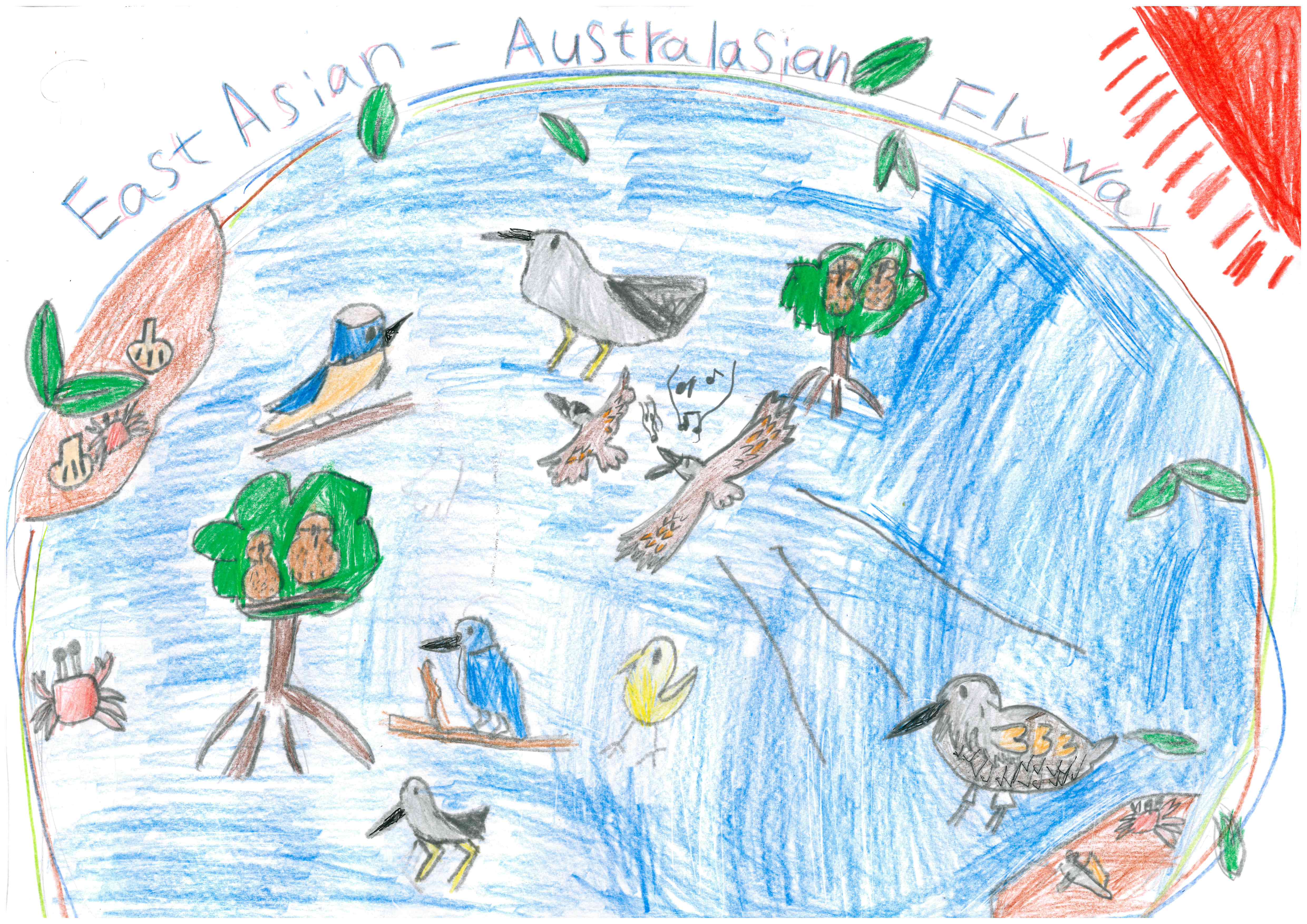 Artwork submitted by Shion Kinjo (8 years old) for the EAAFP Knots Drawing Competition