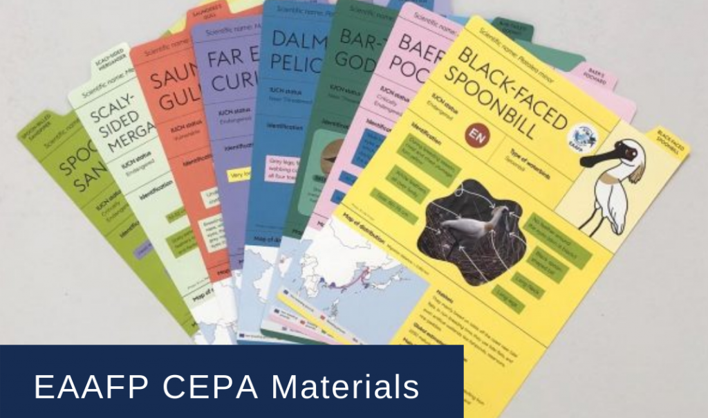 Cepa Infographic EAAFP CEPA Materials - Eaaflyway