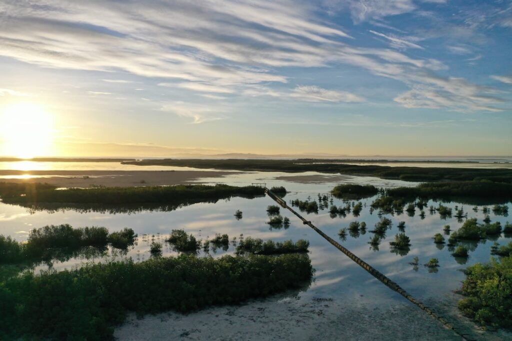 Olango Island Excursion