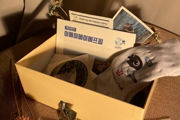 EAAFP World Migratory Bird Day Lucky Box ©EAAFP Foundation