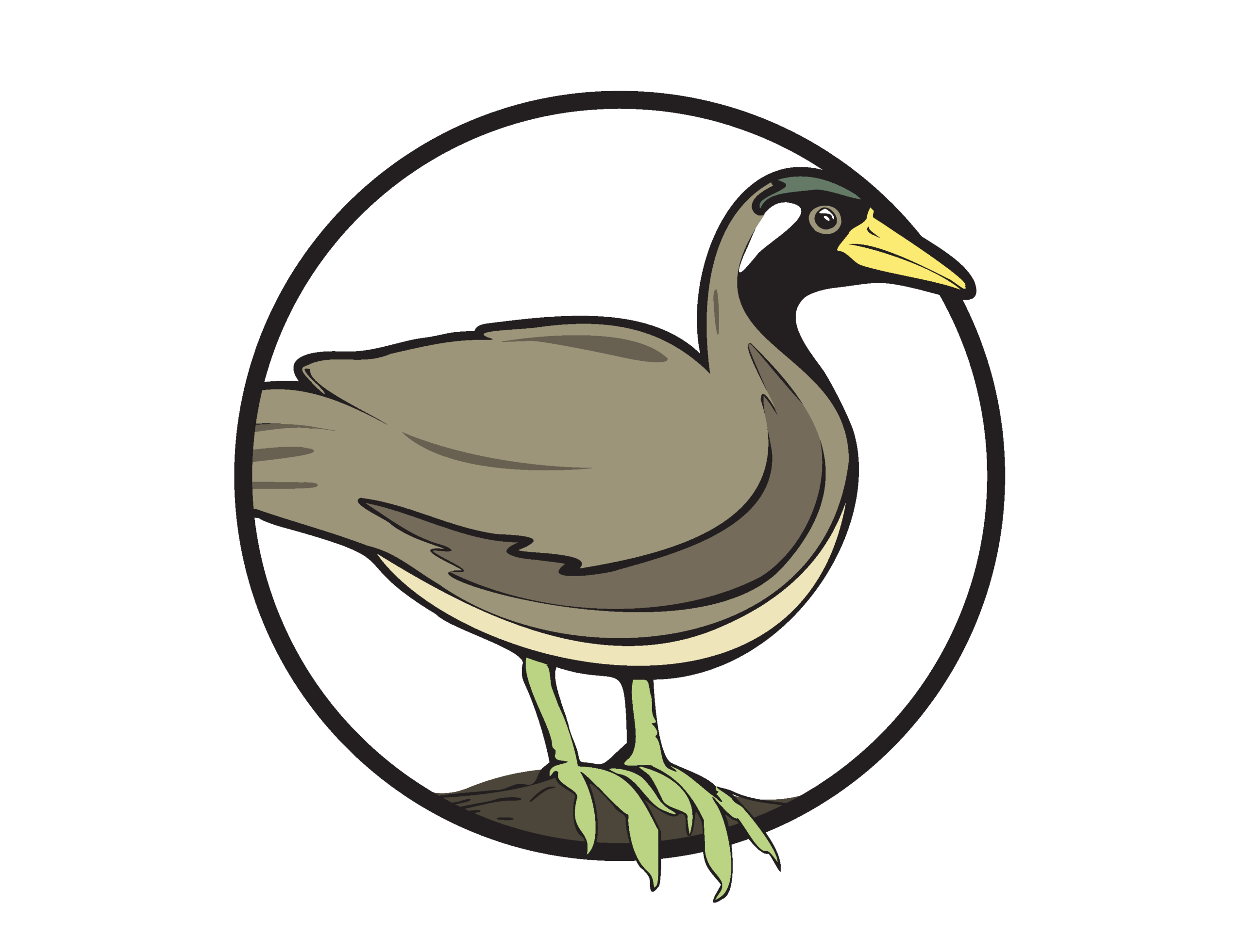 Masked Finfoot Task Force