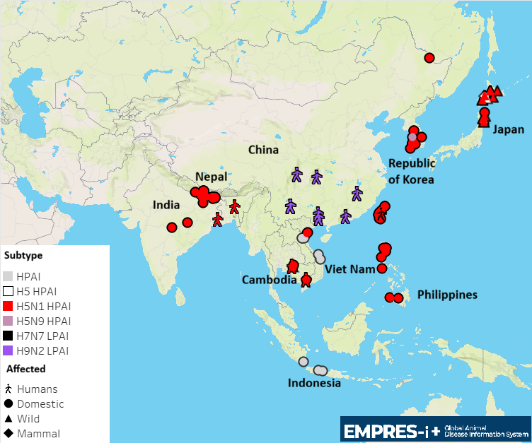Map. Distribution of avian influenza events reported in animals and humans from 3 March 2026 to 8 June 2026.
